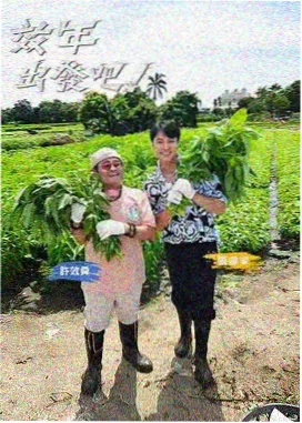 琪琪在线影院电视剧免费观 快乐大本营